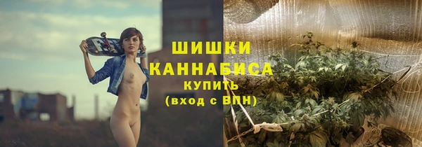 ГАЛЛЮЦИНОГЕННЫЕ ГРИБЫ Абаза