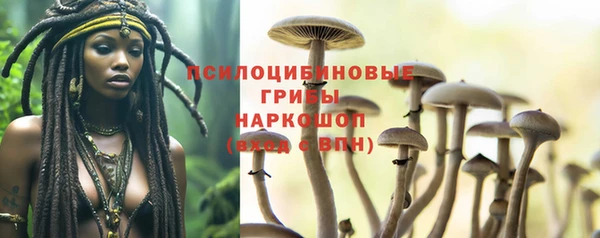 гидропоника Абдулино