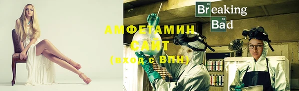 прущие грибы Валдай