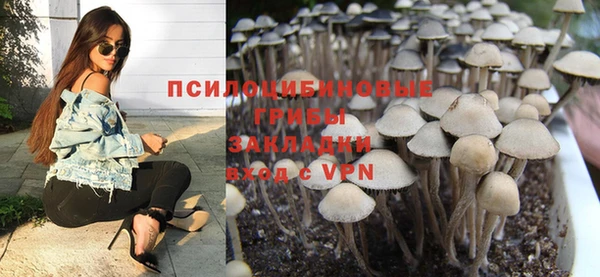 гидропоника Абдулино