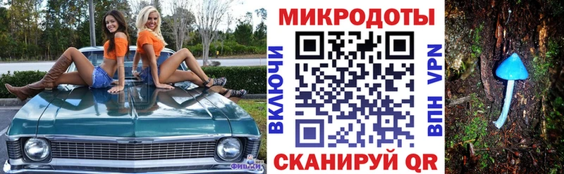 shop телеграм  дарнет шоп  Кириллов  Галлюциногенные грибы Psilocybe  МЕГА как зайти 